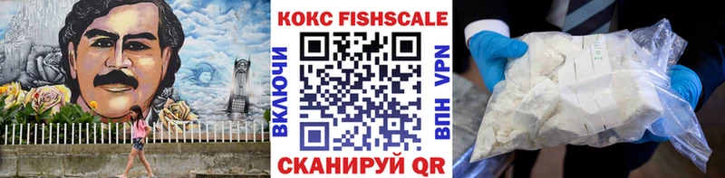 Кокаин FishScale  mega сайт  darknet как зайти  продажа наркотиков  Новая Усмань 