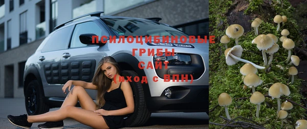 mdpv Михайловск