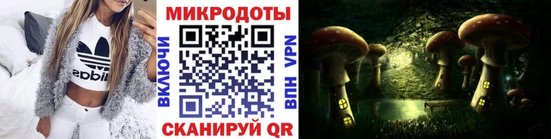 Псилоцибиновые грибы Cubensis  цены   Новая Усмань 
